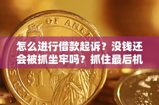 济南怎么进行借款起诉？没钱还会被抓坐牢吗？抓住最后机会！