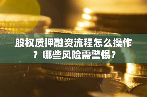 济南股权质押融资流程怎么操作？哪些风险需警惕？