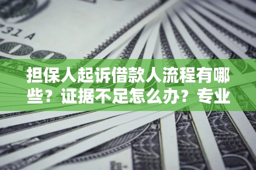 济南担保人起诉借款人流程有哪些？证据不足怎么办？专业律师解答