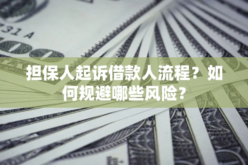 济南担保人起诉借款人流程？如何规避哪些风险？